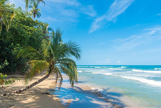 Playa de ensueño en el Caribe, Costa Rica